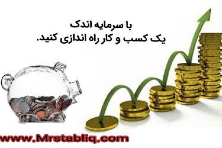 کسب و کار با سرمایه اندک ( بخش دوم )
